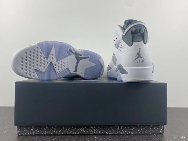 Reps TBK Air Jordan Grey CT8529-100 6 Cool 0706